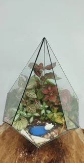 تراریوم طرح دریاچه