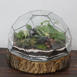 تراریوم توپی