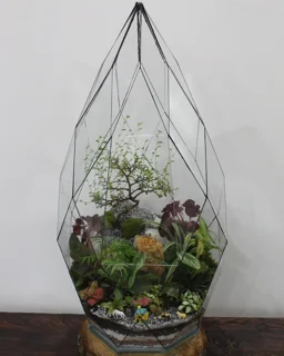 آموزش ساخت تراریوم