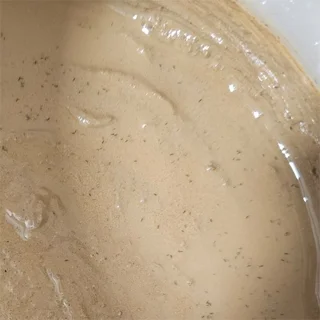 اسپرینگ تیل