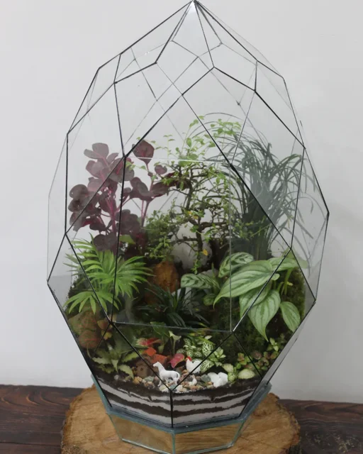 تراریوم الماسی جنگل با نگهداری آسان و شناسنامه محصول